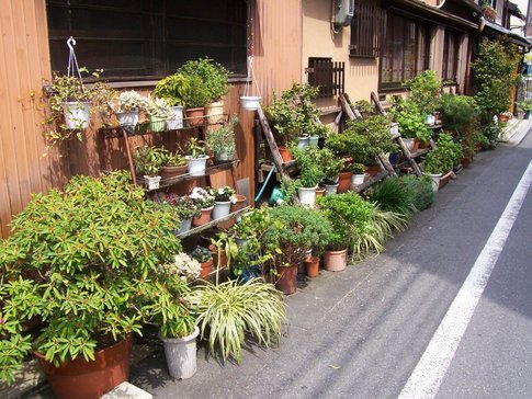 Japan small front garden