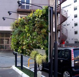 Japan vertical garden 
