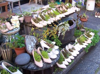 Japan flowers in shoe